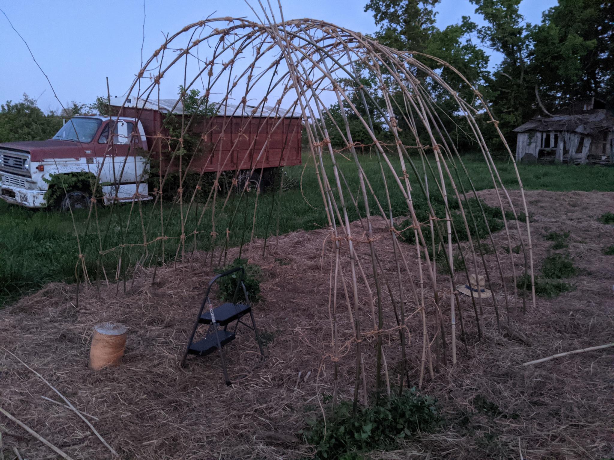 Bare Trellis Full shot of arch trellis with no growth and some incomplete infill on the sides