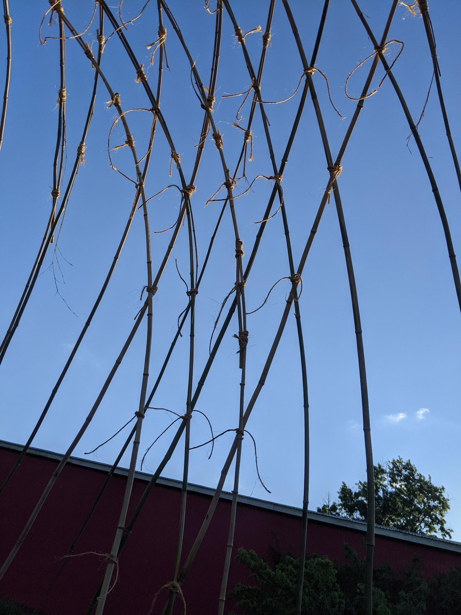 Minimum Structural Completion criss-crossing canes meeting from both diagonal directions, converging down to the ground on one side before the side in-fill
